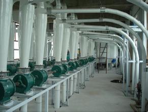 西安面粉廠使用天聯(lián)面粉袋